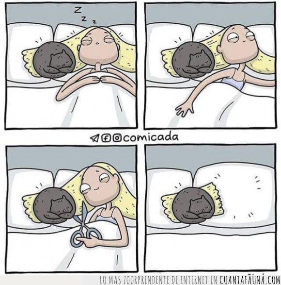 lo q sea